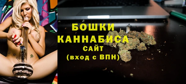 apvp Михайлов