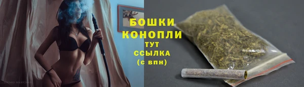 apvp Михайлов