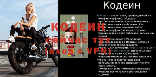 apvp Мегион